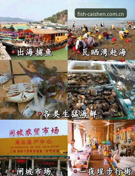 开元捕鱼平台下载避坑指南：财神CYS安全下载常见问题完整解析